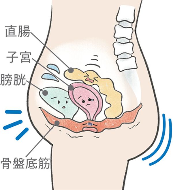 「【プリマベル】骨盤底筋ケアショーツ（安心ショーツ）」｜詳細画像