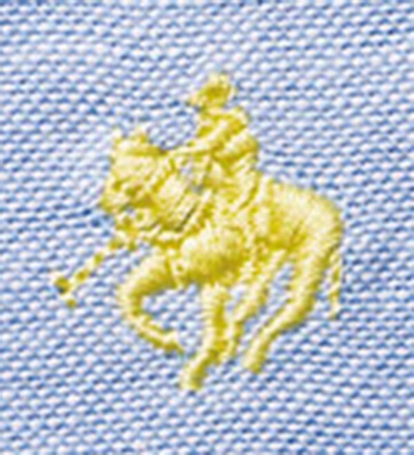 BELLUNA（ベルーナ）の「【ＰＯＬＯ　ＢＣＳ】オックス素材刺しゅうシャツ（シャツ）」｜詳細画像