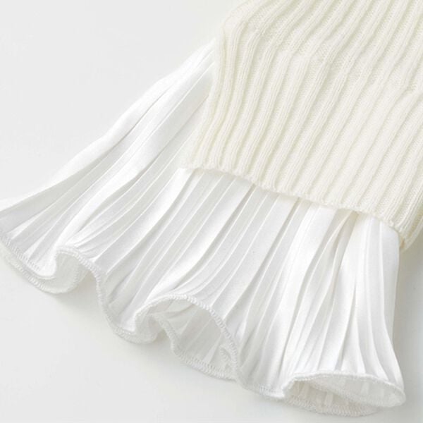 GeeRA（ジーラ）の「プリーツ付ハイネックリブニットトップス（ニット・セーター）」｜詳細画像