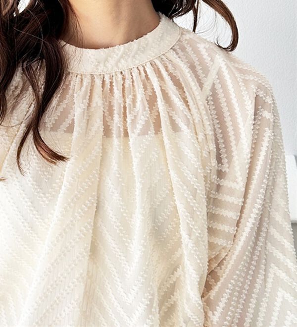 GeeRA（ジーラ）の「シアーシャギージャガードブラウス（ブラウス）」｜詳細画像