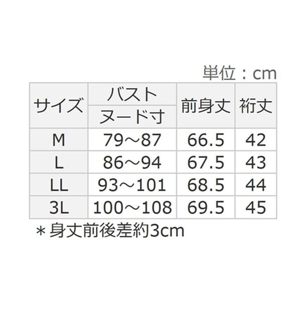 Viola e Viola（ヴィオラ エ ヴィオラ）の「【４つの機能付】ひんやり！すっきりＶネックＴシャツブラウス（カットソー）」｜詳細画像