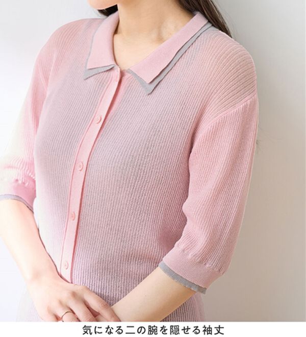 Viola e Viola（ヴィオラ エ ヴィオラ）の「アソートシアーリブニットポロシャツ（ポロシャツ）」｜詳細画像