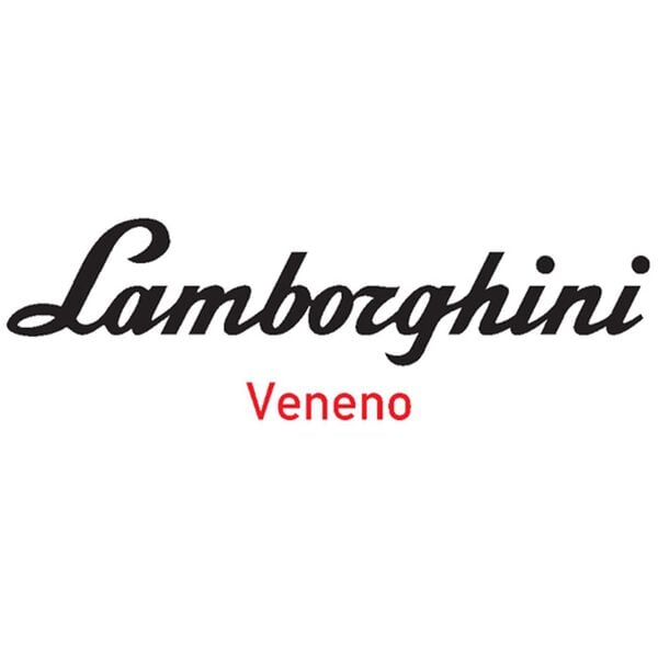 「ラジコン　ランボルギーニ（おもちゃ・ぬいぐるみ）」｜詳細画像