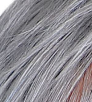 「らくらく帽子ウィッグ！ベルーナ特別セット（ウィッグ・ヘアピース・エクステ）」｜グレー