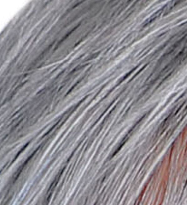 「らくらく帽子ウィッグ！ベルーナ特別セット（ウィッグ・ヘアピース・エクステ）」｜グレー