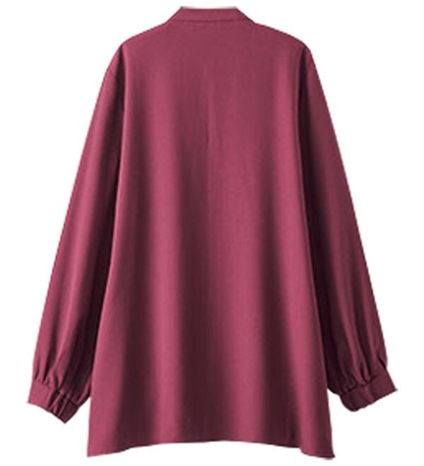 BELLUNA（ベルーナ）の「ケミカルレース上品シャツチュニック（チュニック）」｜詳細画像