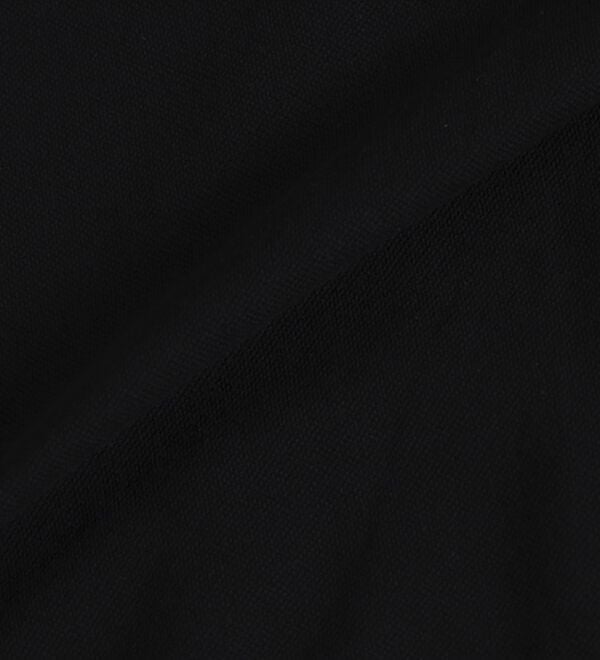 「＜チャンピオン＞鹿の子デザインポロシャツ（メンズポロシャツ）」｜詳細画像