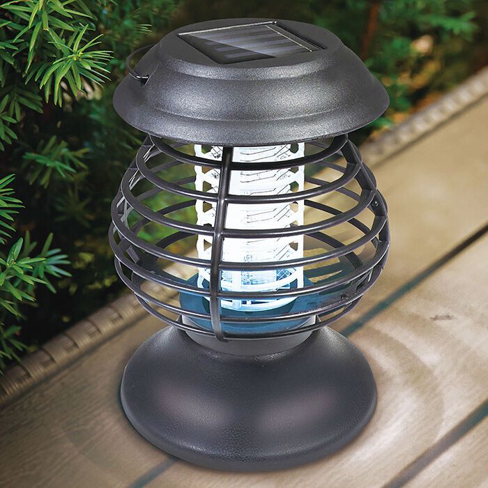 ピーターサイト ムーンストーン共生 スフィア シラー ペルー産