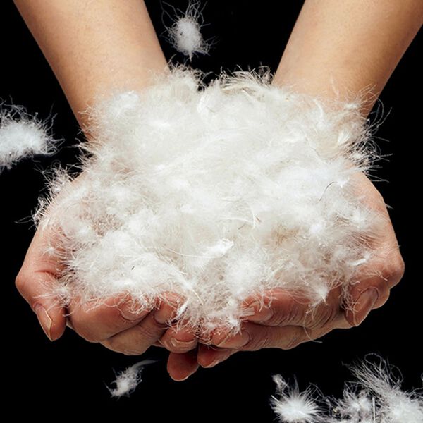 「ロイヤルゴールドラベル羽毛掛布団（掛布団）」｜詳細画像