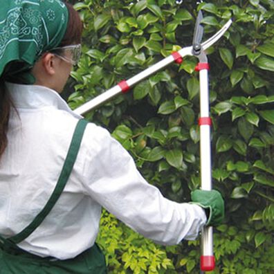 「アルス伸縮式強力刈込鋏（ガーデニング・園芸用品）」