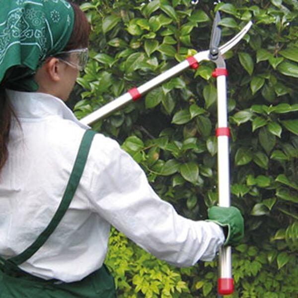 「アルス伸縮式強力刈込鋏（ガーデニング・園芸用品）」｜詳細画像