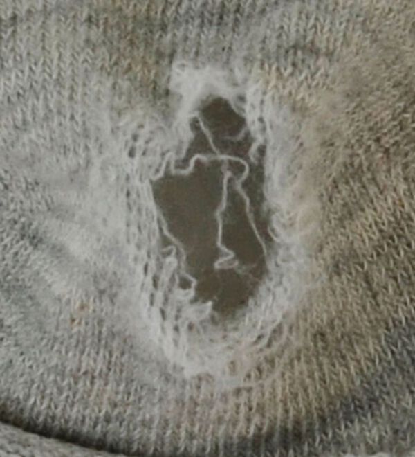 「【３足組】とにかく丈夫な５本指ボーダー靴下（靴下・ストッキング）」｜詳細画像