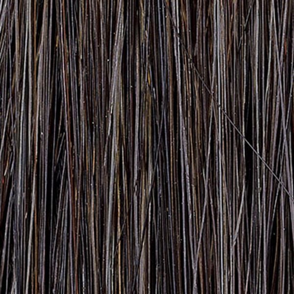 「コラージワン　オールインカラーシャンプー（ヘアケア・ドライヤー）」｜ナチュラルブラック