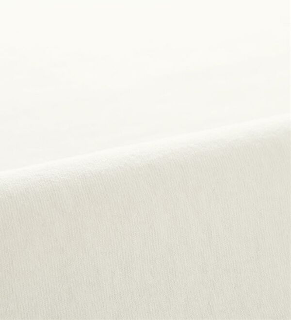 BELLUNA（ベルーナ）の「【ｃｈａｍｐｉｏｎ】ゆったりＴシャツ（カットソー）」｜詳細画像