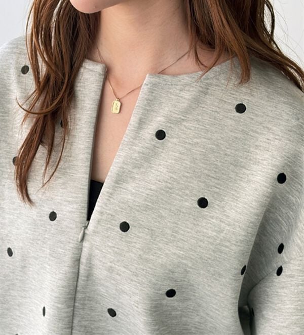 GeeRA（ジーラ）の「ドット刺繍ハーフジップダンボールトップス（カットソー）」｜詳細画像