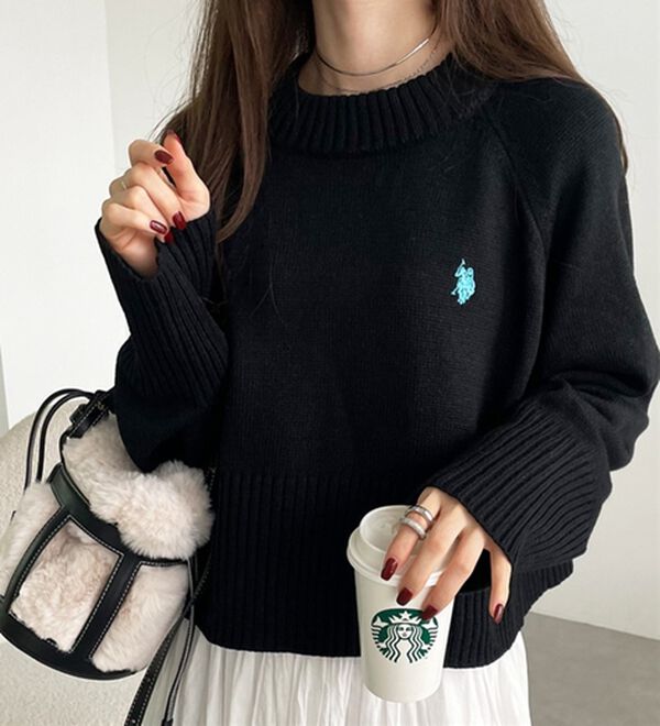 GeeRA（ジーラ）の「【ＵＳ．ＰＯＬＯ　ＡＳＳＮ】ショート丈ニット（ニット・セーター）」｜詳細画像