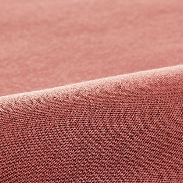 BELLUNA（ベルーナ）の「裏起毛素材リブニット切替プルオーバー（カットソー）」｜詳細画像