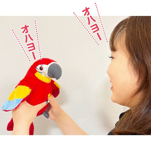 「言葉を返してくれる「オウちゃん」＆「アヒル君」セット（おもちゃ・ぬいぐるみ）」｜詳細画像