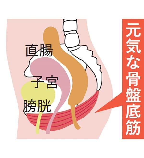 LAVIENNE（ラヴィエンヌ）の「【６色組】はくだけ！骨盤底筋ショーツガードル（ショーツ）」｜詳細画像