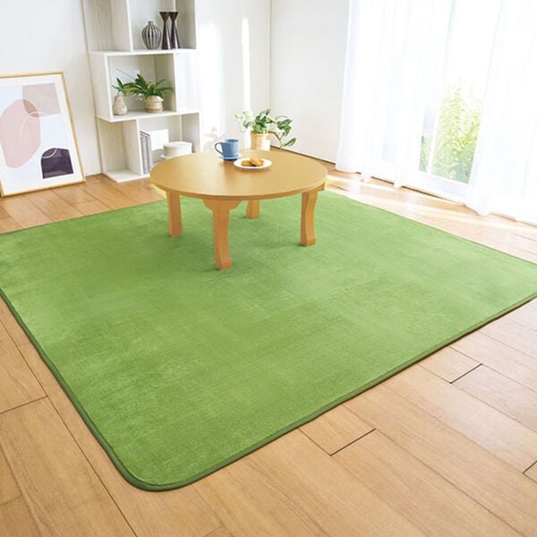 「洗えるはっ水フランネルラグ＜ホットカーペット対応・撥水・洗濯可能＞（カーペット）」｜詳細画像