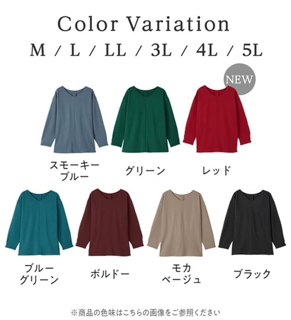 Viola e Viola（ヴィオラ エ ヴィオラ）の「細見えラインリップル切替トップス（カットソー）」｜詳細画像