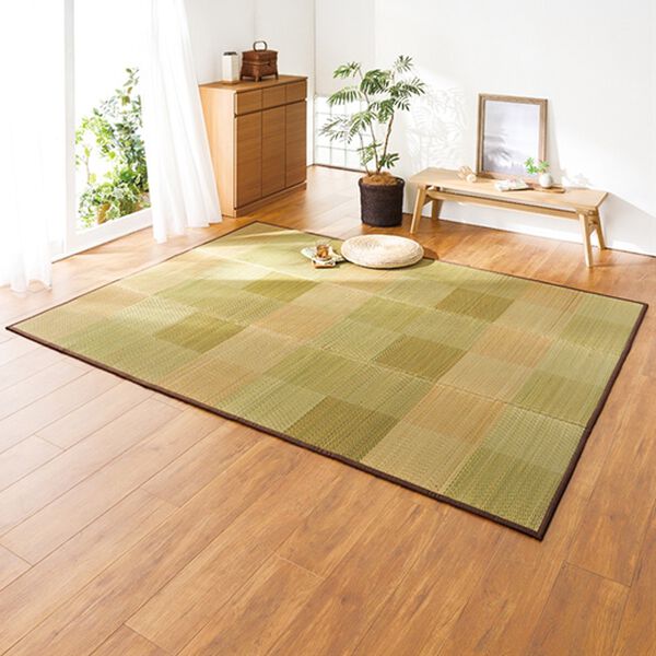 「お手入れカンタン防ダニはっ水い草ラグ（い草ラグ）」｜詳細画像