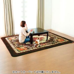 「ホットカーペット対応洗えるボアラグ（ラグ）」｜ブラウン