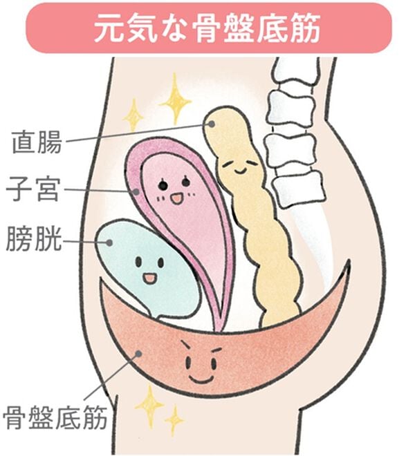 「【プリマベル】骨盤底筋ケアショーツ（安心ショーツ）」｜詳細画像