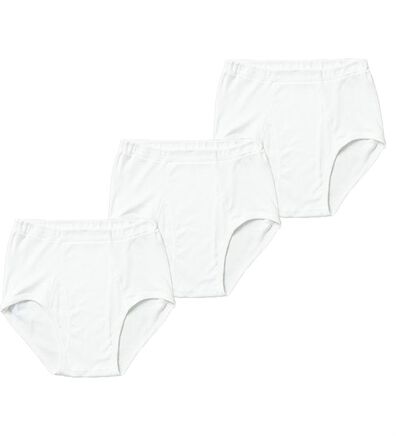 「【３枚組】＜ＧＵＮＺＥ&times;ベルーナ＞素肌の匠（Ｒ）日本製綿１００％インナー　ブリーフ（メンズブリーフパンツ）」