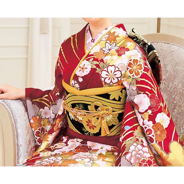 22点セット】振袖用小物（ショール・袴付）22点セット - ベルーナ 