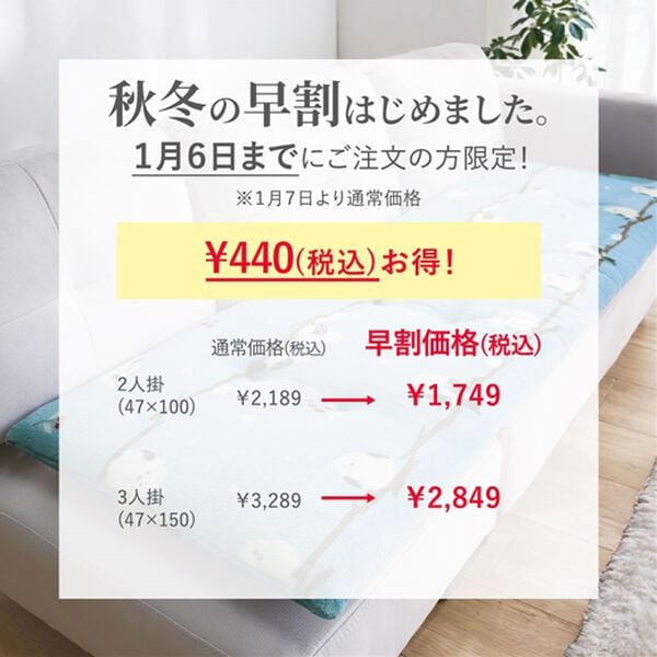 「【早割】固わた入りボリュームソファパッド（ソファパッド）」｜詳細画像