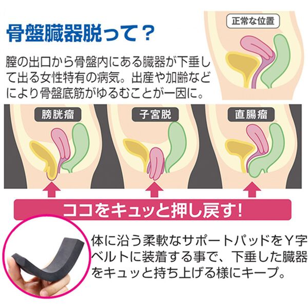 「骨盤臓器脱サポーター（サポーター・肩腰膝ケア）」｜詳細画像
