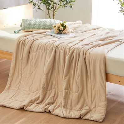 iellio（イエリオ）の「ひんやりッチ　リバーシブル冷感とろける肌掛布団＜ブランケット・夏用掛布団＞（掛布団）」