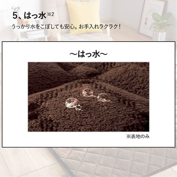 「５つ星機能のあったかぬくぬく贅沢カーペット（カーペット）」｜詳細画像