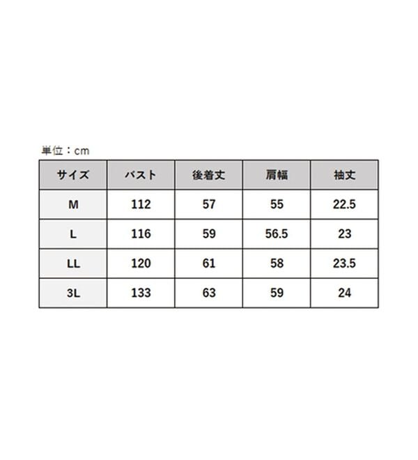BELLUNA（ベルーナ）の「ラッセル素材マルチストライプシャツ（シャツ）」｜詳細画像