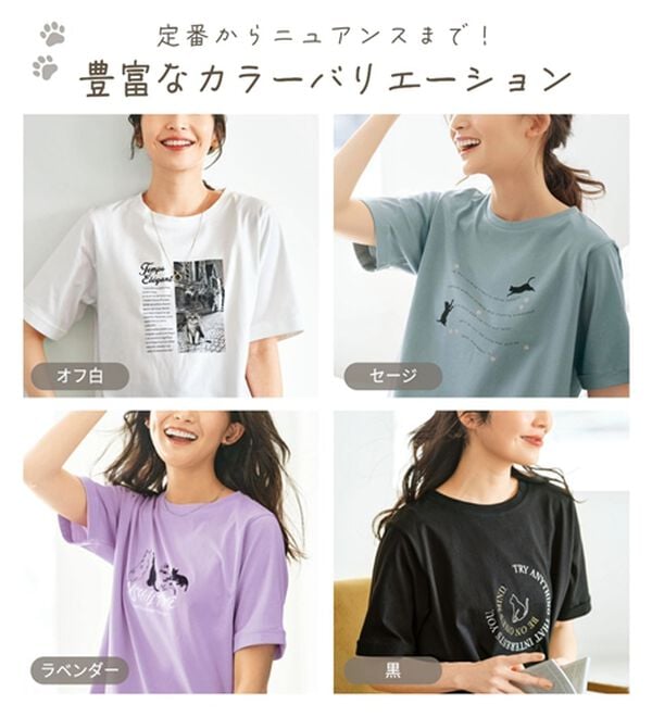BELLUNA（ベルーナ）の「綿１００％着映えネコ柄プリントＴシャツ（Tシャツ）」｜詳細画像