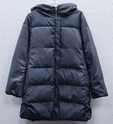 BELLUNA（ベルーナ）の「切替デザインロング丈ダウンコート（ダウンコート・ジャケット・ベスト）」