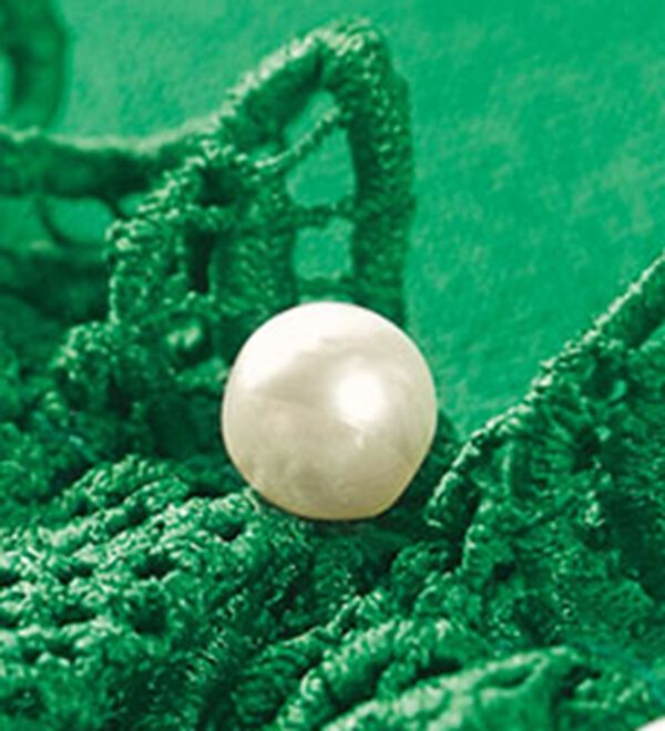 BELLUNA（ベルーナ）の「袖レースフェミニンニットプルオーバー（ニット・セーター）」｜詳細画像