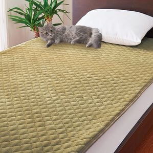 「Ｄｒ．ｓ　ＢＮ　ＬＡＢＯ&times;ＳＥＬＦＬＡＭＥ　リバーシブル遠赤中わた敷きパッド（敷パッド）」｜詳細画像