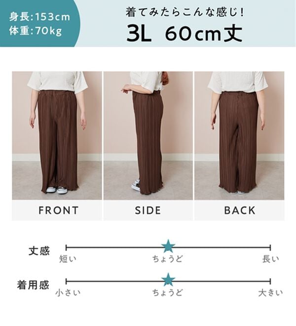 Viola e Viola（ヴィオラ エ ヴィオラ）の「【夏これ一枚！】着心地楽ちん！さらっと軽やかプリーツパンツ（フルレングスパンツ）」｜詳細画像