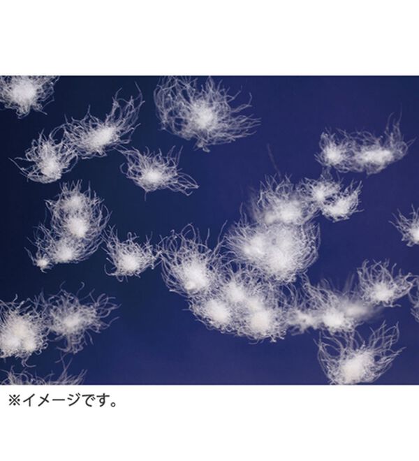 「ヒーター付丸八ダウンインナーベスト（メンズベスト）」｜詳細画像