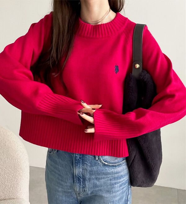 GeeRA（ジーラ）の「【ＵＳ．ＰＯＬＯ　ＡＳＳＮ】ショート丈ニット（ニット・セーター）」｜詳細画像