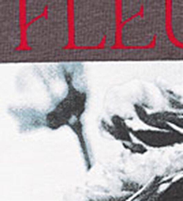 BELLUNA（ベルーナ）の「ヒンヤリ！綿１００％大人フォトプリントＴシャツ（Tシャツ）」｜詳細画像