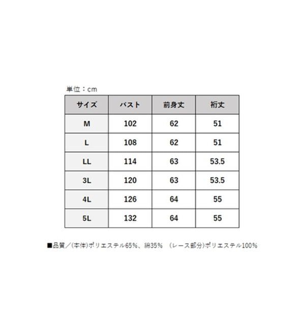 BELLUNA（ベルーナ）の「衿＆袖ハシゴレース使いプルオーバー（カットソー）」｜詳細画像