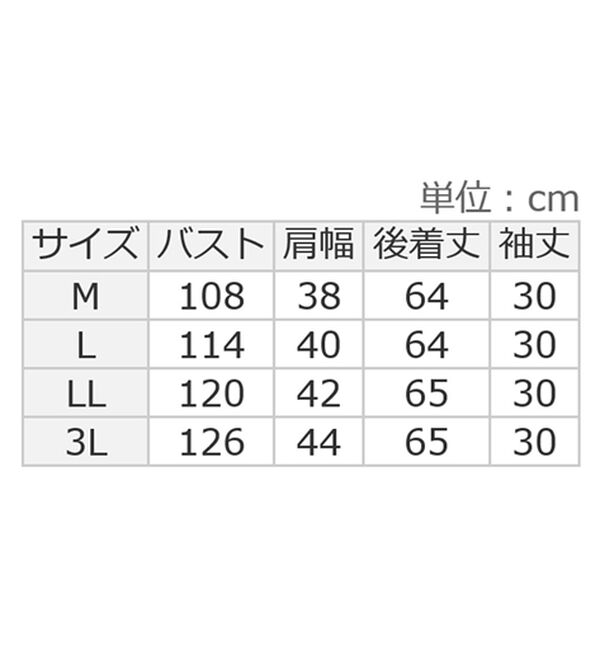 alotta（アロッタ）の「大人上品スカーフタイブラウス（ブラウス）」｜詳細画像