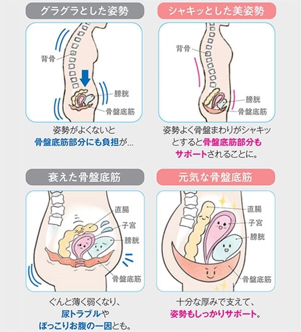 LAVIENNE（ラヴィエンヌ）の「＜プリマベル＞骨盤も骨盤底筋もケアショーツ（安心ショーツ）」｜詳細画像