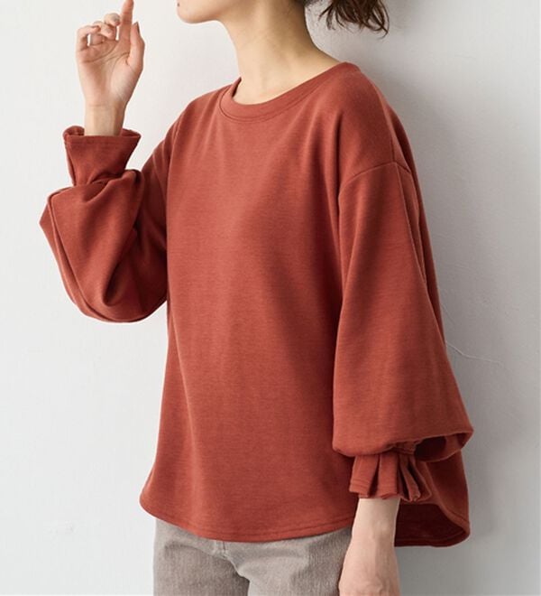 Viola e Viola（ヴィオラ エ ヴィオラ）の「裏ファー袖タックプルオーバー（カットソー）」｜詳細画像