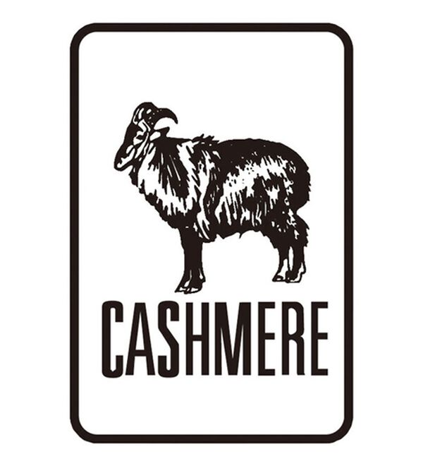 VINNO（ヴィノ）の「贅沢カシミヤハイネックプルオーバー（ニット・セーター）」｜詳細画像