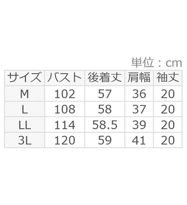 alotta（アロッタ）の「シフォンレイヤードＶネックブラウス（ブラウス）」｜詳細画像