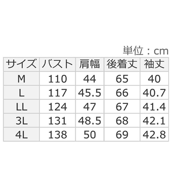 ルフラン（ルフラン）の「刺しゅうレースの切替ブラウス（ブラウス）」｜詳細画像